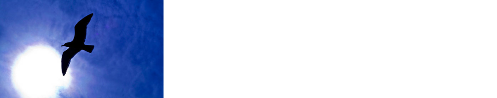 Headsparkle